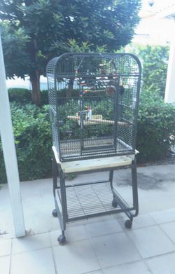 Parrot Bird Cage.