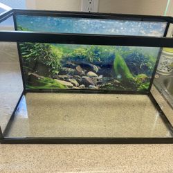 10 Gallon Fish Tank 