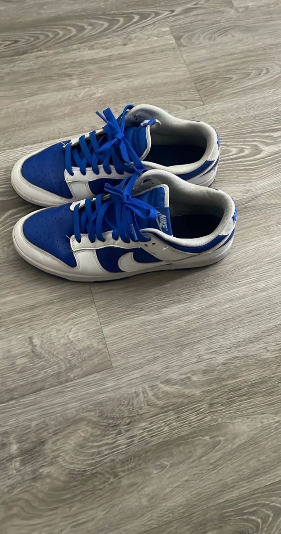 Royal Blue Nike Dunks