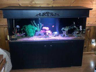 100 gallon aquariums