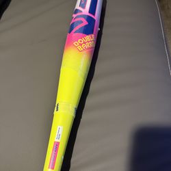 Easton Dub Baseball Bat USSSA