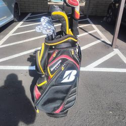 Golf Clubs! Men's Complete Set! TaylorMade & Cobra 🐍!