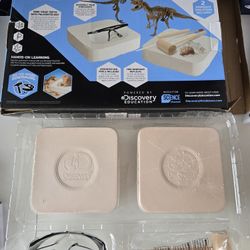Dinosaur Fossil Dig