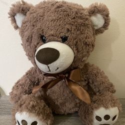 Teddy Bear 10”In