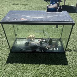 Fish Tank 30 Gallons 