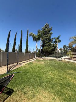 Lacrosse backstop