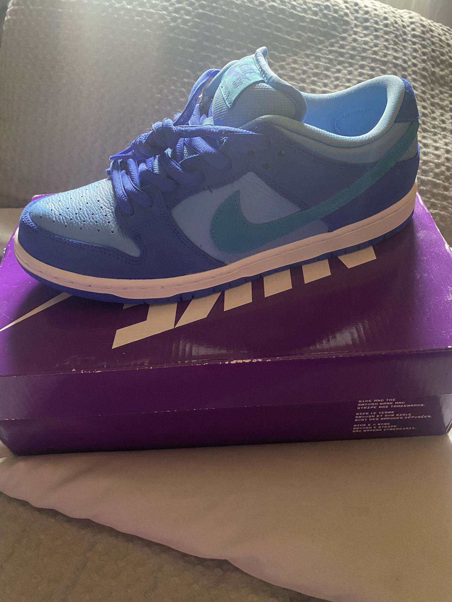 Nike SB Dunk Low Pro in the 