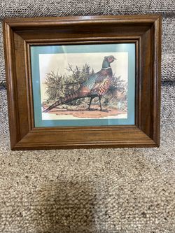 Pheasant Print