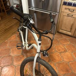 2020 Murf Beach Cruiser