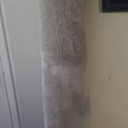 Brand new Reminite Stainmastwr Carpet