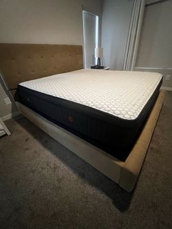 Sedona mattress and box set