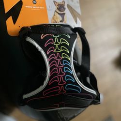 Hyde & Eek Skelton Dog Harness Size Medium 