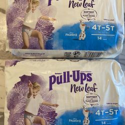 Pull Ups New Leaf Frozen 