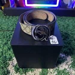 Gucci Belt 