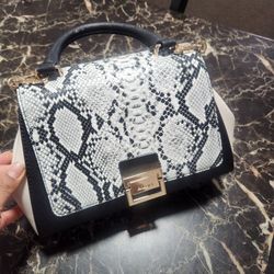 Aldo Purse