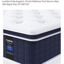 Coolvie Twin 12 Inches Mattress Firm