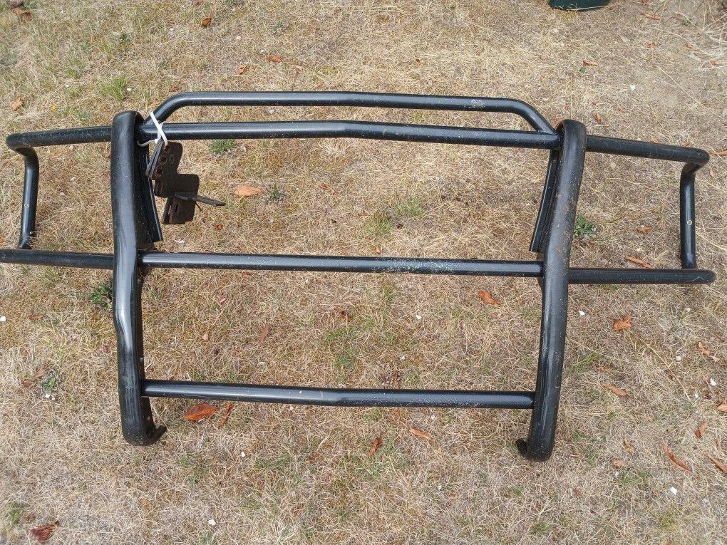 Brush Guard