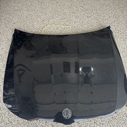 2009 BMW 328i hood