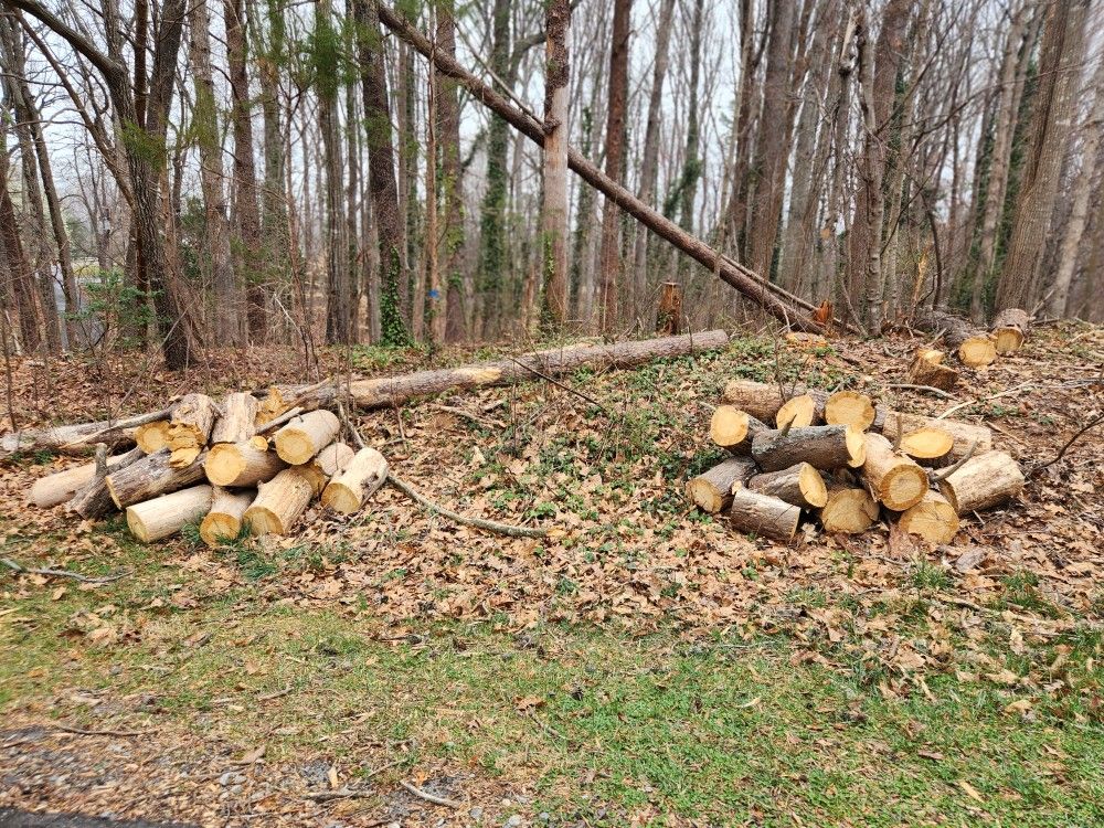 Free Firewood, End Of Greenlawn Dr, K'ville