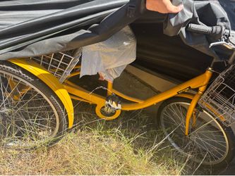 Cruiser bike