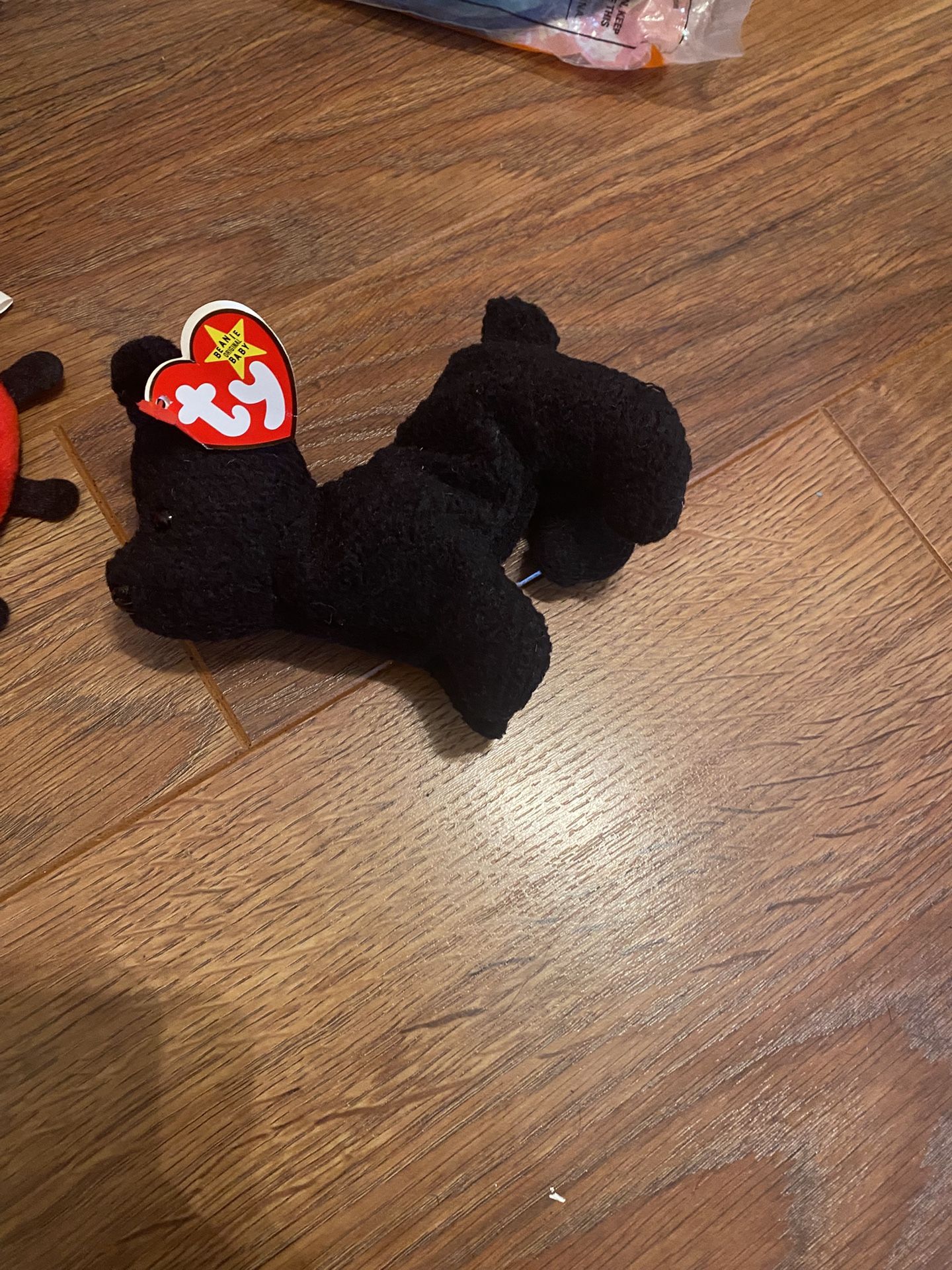 Rare TY Beanie