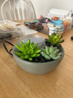 Scentsy little garden