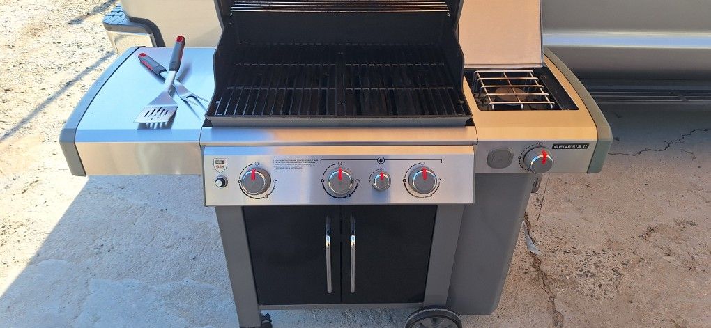 Weber Grill Bbq
