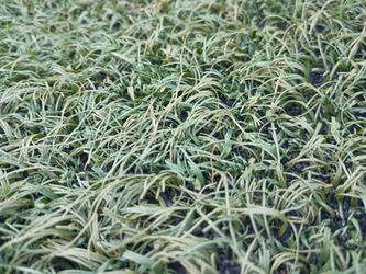 Reclaimed Athletic Turf | Custom Cut Sizes | Huge Inventory