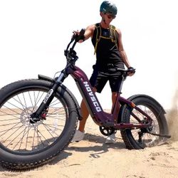 Hovalpha Top Range 80 Mile With Torque Sensor At Manufacture Price Ebike 