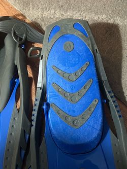 Snorkel gear : fins only