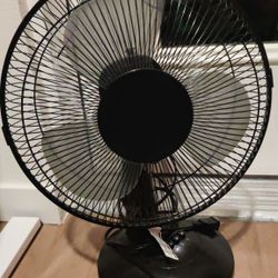 Fan