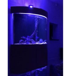 Halfmoon Acrylic Aquarium Tank