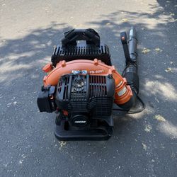 Echo Backpack Leaf Blower