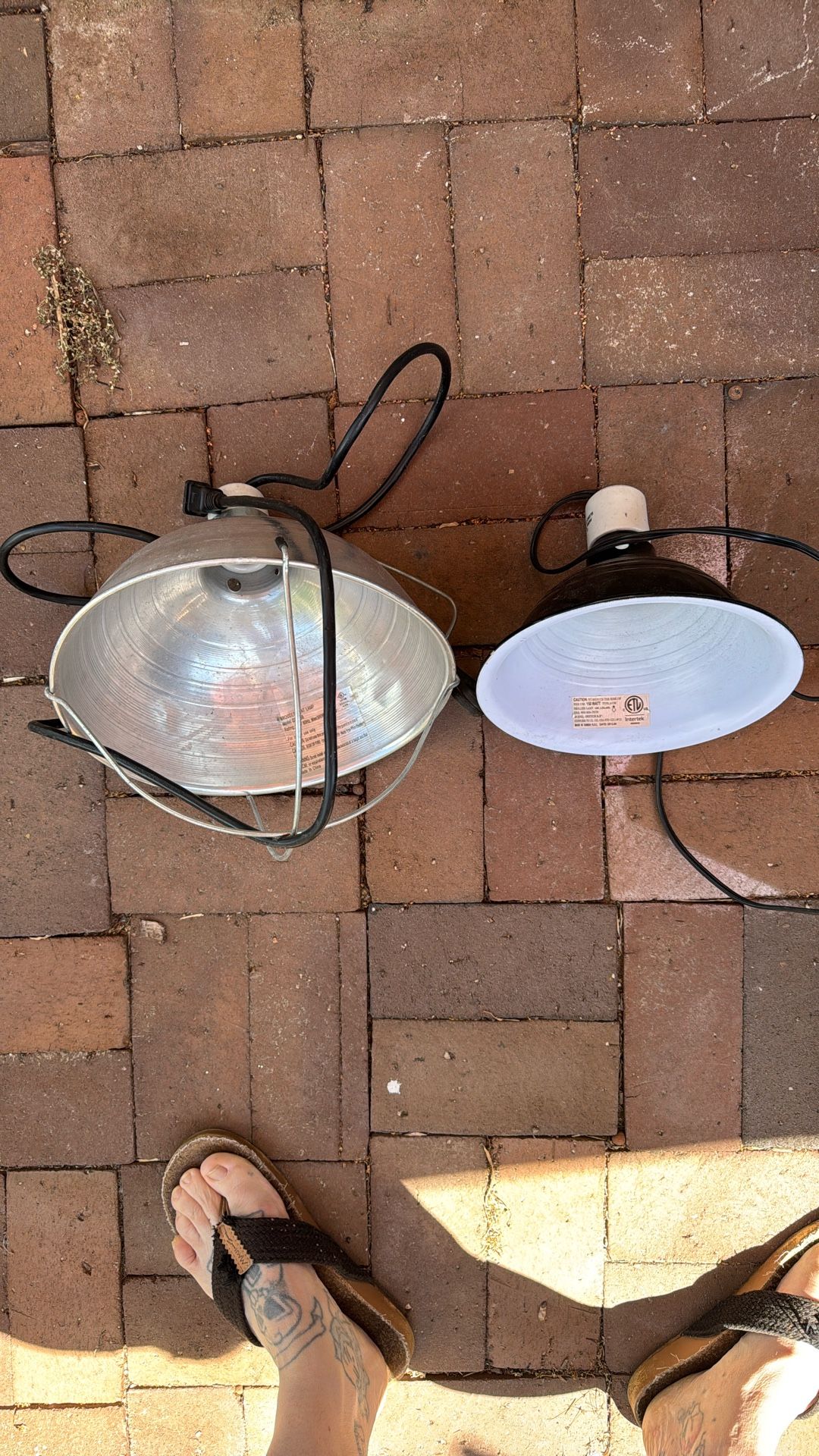 Heat Hoods For Animals