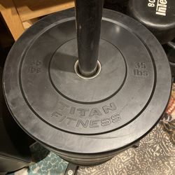 Titan Fitness Pair Of 45 Lb Olympic Rubber Wrapped Steel Weight Plates