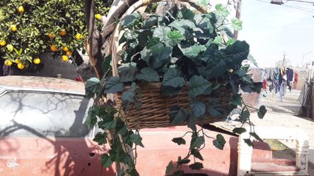 Fake plant in basket