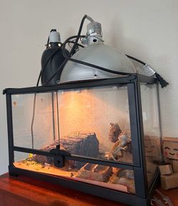 Tank