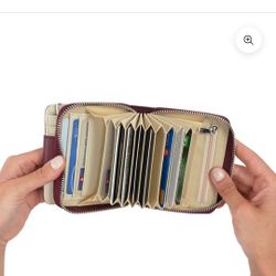 Pragmastyle Accordian Wallet