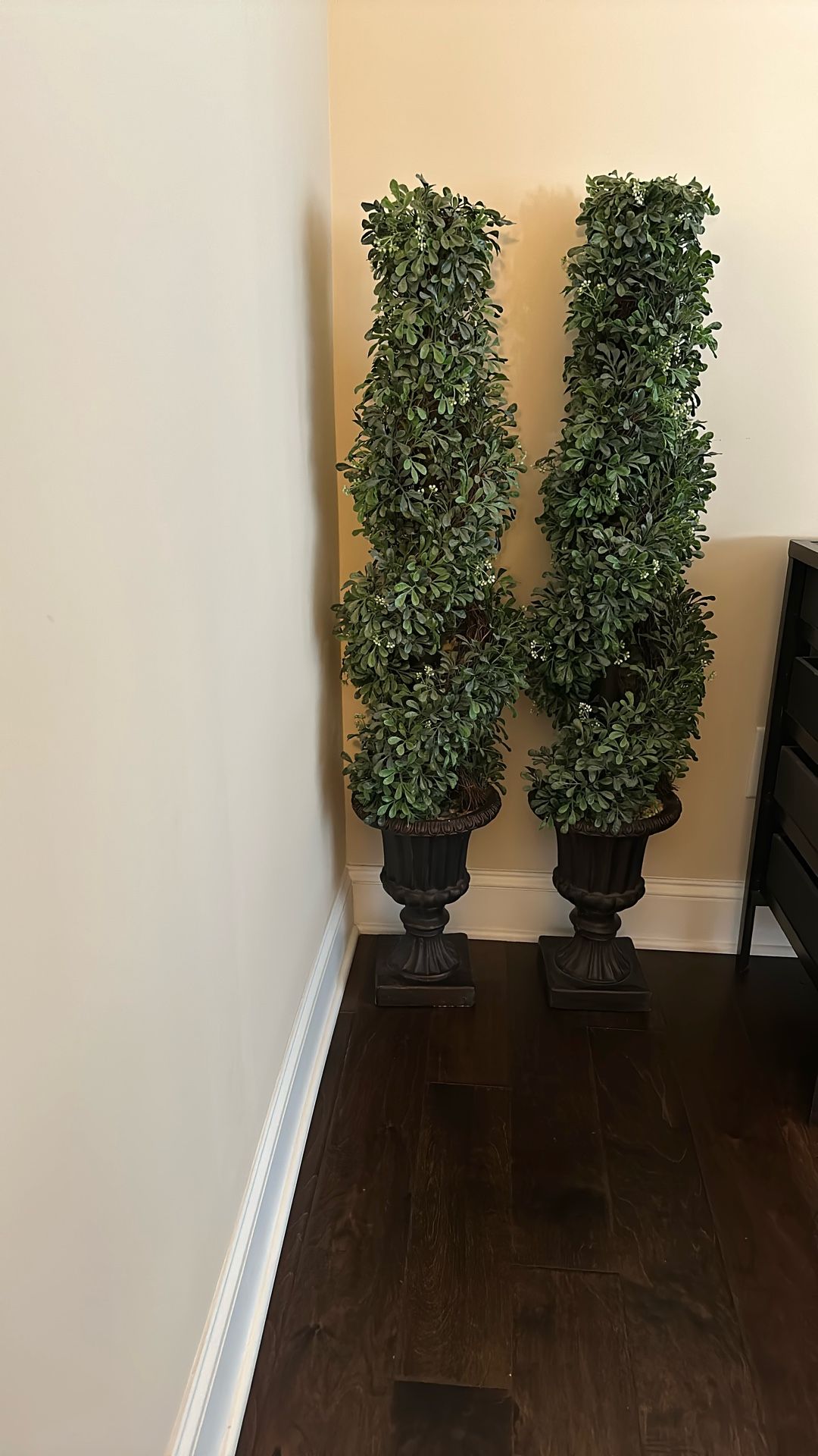 Two ~ Topiaries