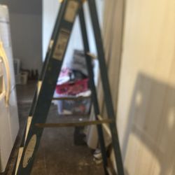 Warner 6ft Ladder