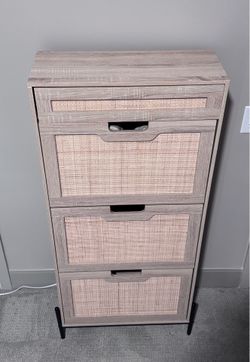 Shoe Organizer/Cabinet