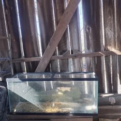 20 Gallon Fish Tank