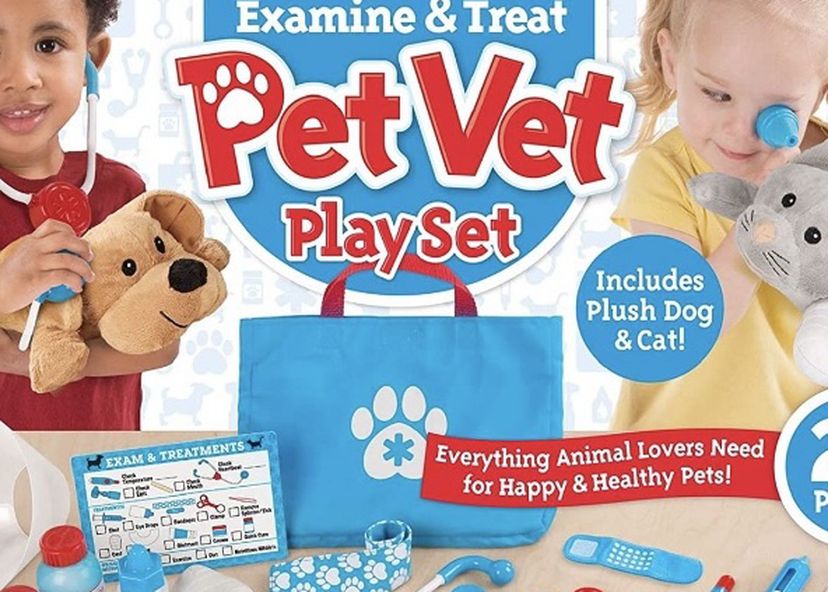 Pet Vet Play Set For Kids