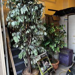Artificial Trees