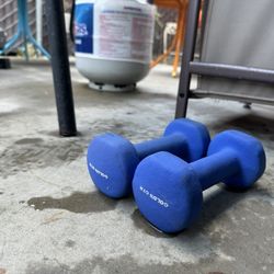 Gold’s Gym 2lbs Dumbells  