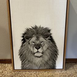 Lion Picture