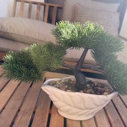 Small Artificial Plant 