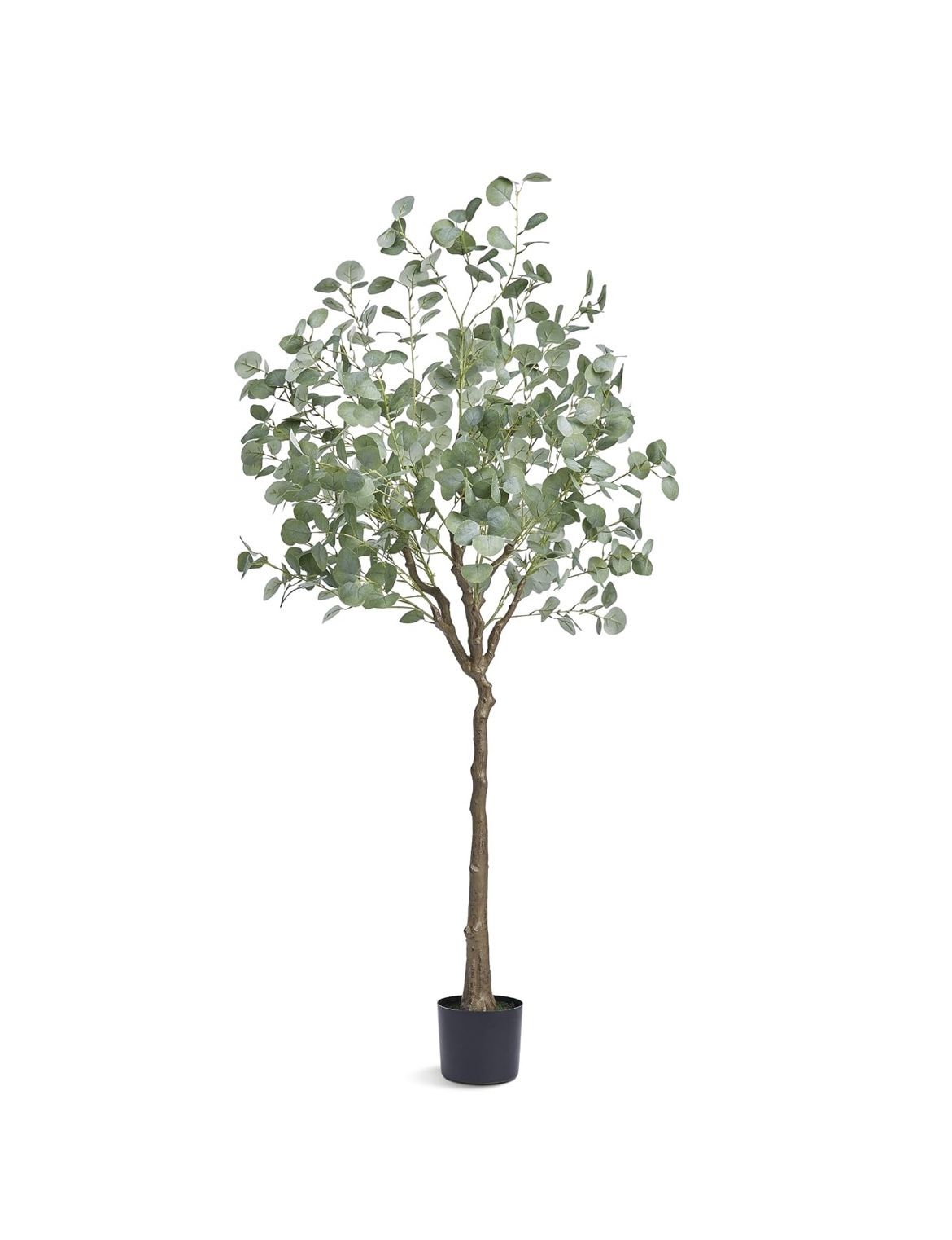 Artificial Eucalyptus Tree, 6 FT Faux Plant