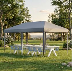 Carpa 10X20
