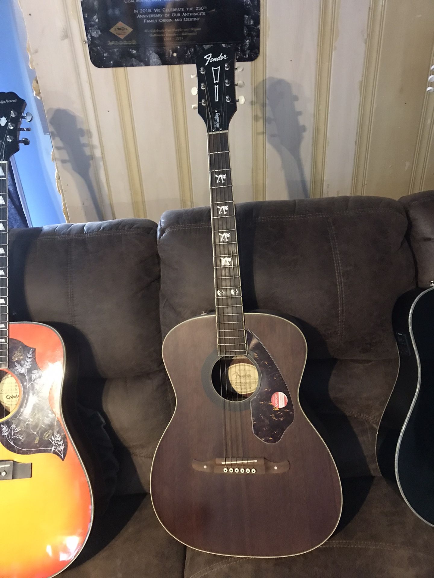 Fender Wild Cat Guitar